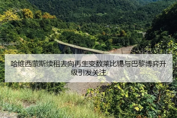 ha-wei-xi-meng-si-xu-zu-qu-xiang-zai-sheng-bian-shu-lai-bi-xi-yu-ba-li-bo-yi-sheng-ji-yin-fa-guan-zhu-2-313.jpg