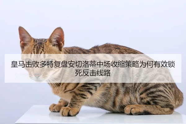皇马击败多特复盘安切洛蒂中场收缩策略为何有效锁死反击线路