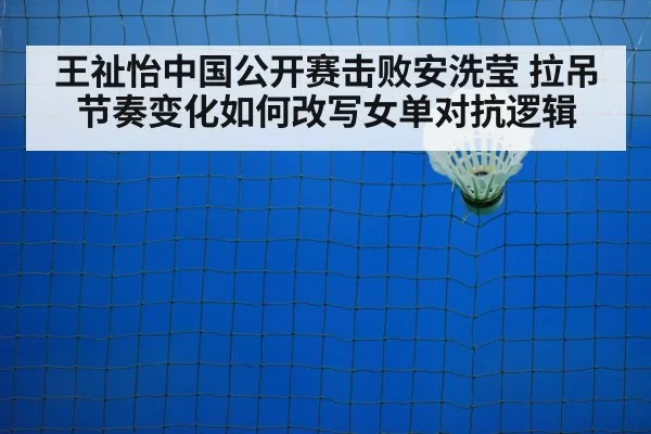 badminton shuttlecock on court